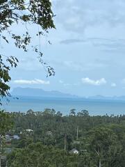 Scenic view of landscape with trees and ocean in the background