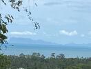 Scenic view of landscape with trees and ocean in the background