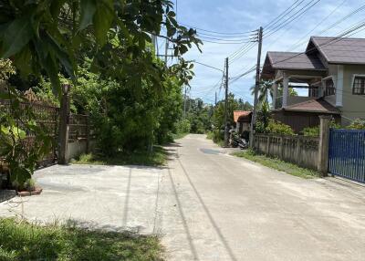 Street view with houses and greenery