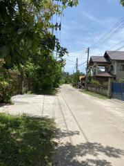 Street view with houses and greenery