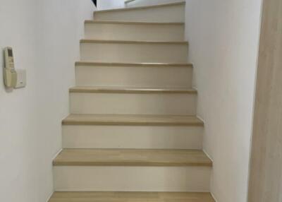 Indoor staircase with light wood steps and white walls