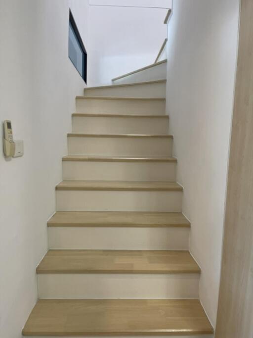 Indoor staircase with light wood steps and white walls