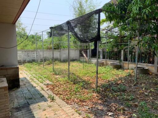 3 Bedroom House for Rent in San Phak Wan