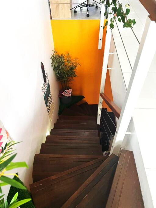 Townhouse in prime location in Patong, Phuket