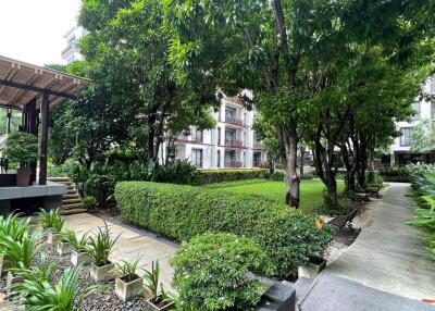 Condo for Rent at Amanta Ratchada Condominium