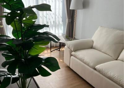 House for Rent AT Centro Bangna