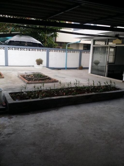 House for Sale in prakanong.