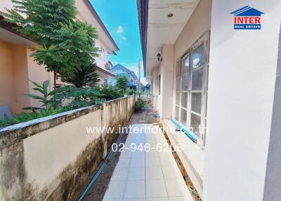 Narrow exterior pathway leading to the backyard with adjacent walls and plants