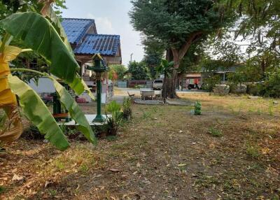 Backyard featuring lush greenery and garden space with a small house.