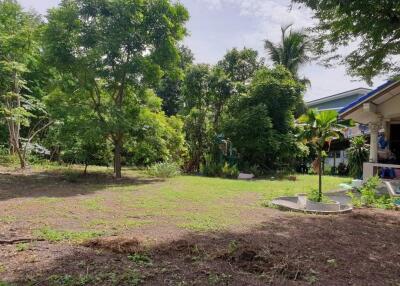 Spacious backyard with lush greenery and trees