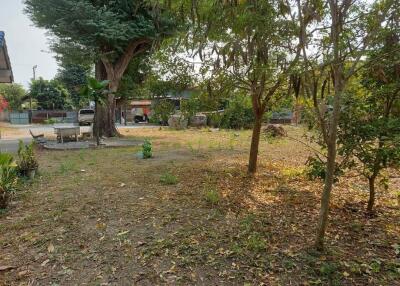 Spacious garden area with trees