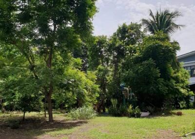 spacious garden with lush greenery