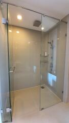 Modern shower with glass enclosure