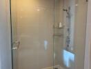 Modern shower with glass enclosure