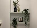 Decorative shelving with plants and picture frame