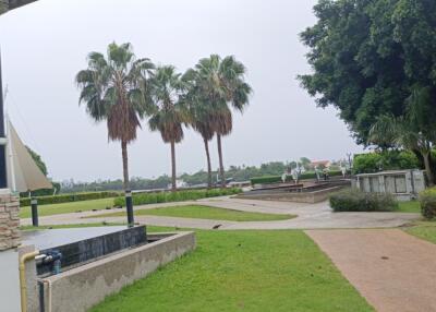 Outdoor area with palm trees and lawn