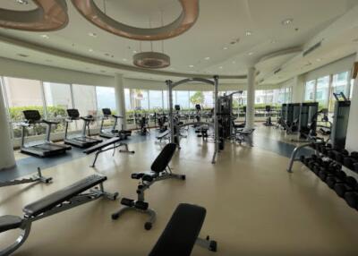 Spacious modern gym with various fitness equipment