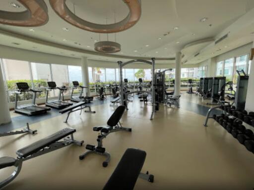 Spacious modern gym with various fitness equipment