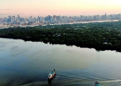 Aerial view of a river with ships, forest, and city skyline