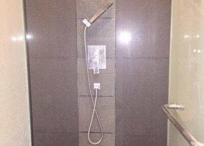 Shower area with modern fixtures