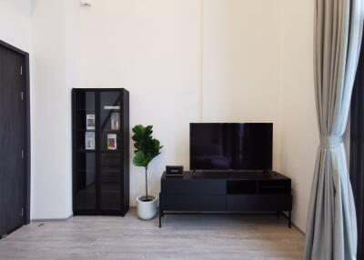 Modern living room with TV and storage cabinet