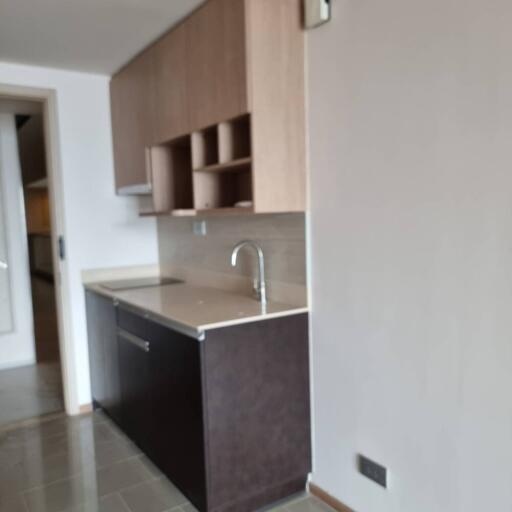 Modern kitchen with cabinets and sink