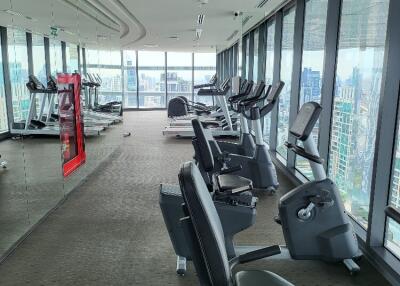 Modern gym with exercise equipment and city view