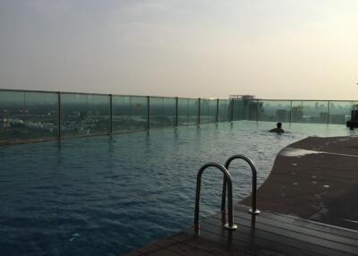 Rooftop swimming pool with city view