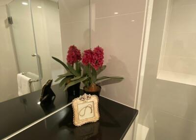 Modern bathroom with decorative elements