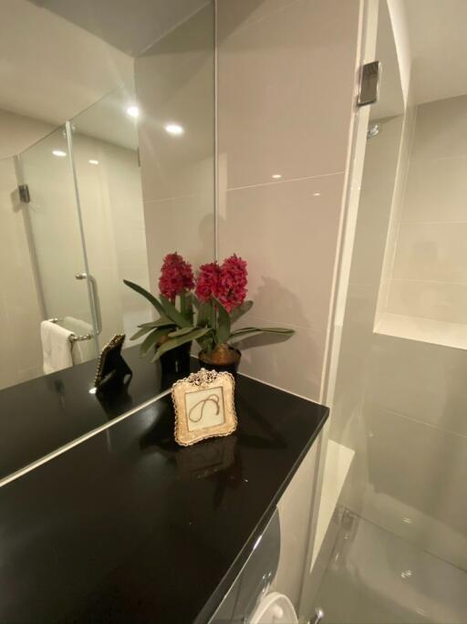 Modern bathroom with decorative elements