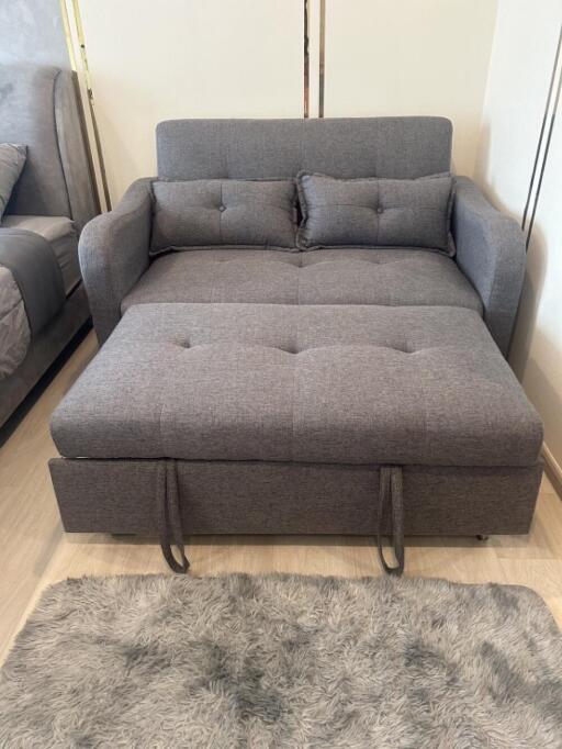 Living room with a gray sofa bed