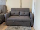 Small cozy sofa with grey cushions and a fluffy rug