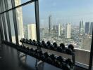 Gym with city view