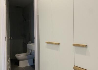 Bathroom view with wardrobe and toilet