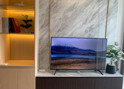 Living room with TV, bookshelf, and decorative elements