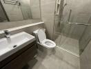 Modern bathroom with sink, toilet, and glass-enclosed shower