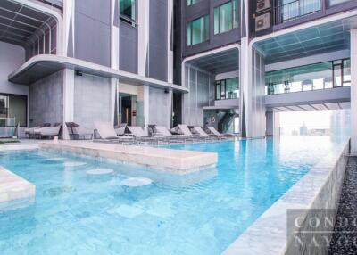 Swimming pool area of a modern residential building with lounge chairs.