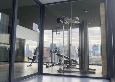 Modern fitness center with city view