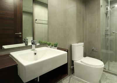 Modern bathroom with sink, toilet, and glass-enclosed shower