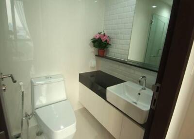 Modern bathroom with white toilet, sink, and decorative plant