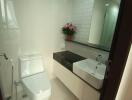 Modern bathroom with white toilet, sink, and decorative plant