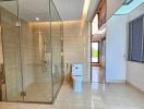 Modern bathroom with glass shower enclosure and toilet