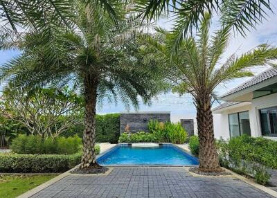 Outdoor backyard with swimming pool