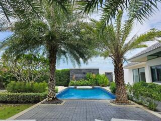 Outdoor backyard with swimming pool