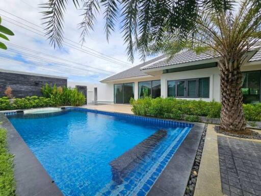 Backyard with swimming pool and palm tree