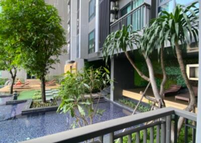 Balcony view of garden with pool