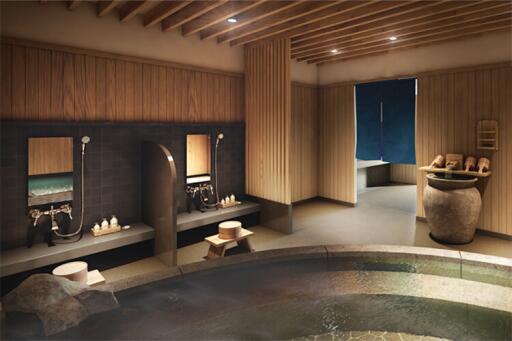 Luxurious residential spa with wooden decor and bath area