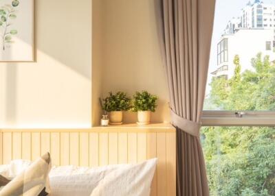 cozy bedroom with sunlight, plants, and a large window