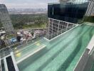 Rooftop pool with cityscape view