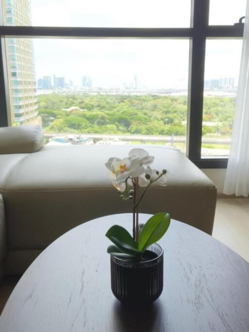 Bright and spacious living room with window view